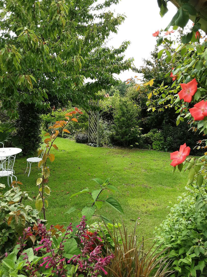 SOURBE Mari-HélèneLINXE_Jardin  Marguerite (1)
