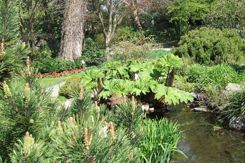 otccJARDIN PUBLIC