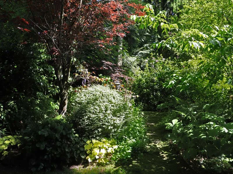 jardin retiré de Bagnoles-de-l’Orne