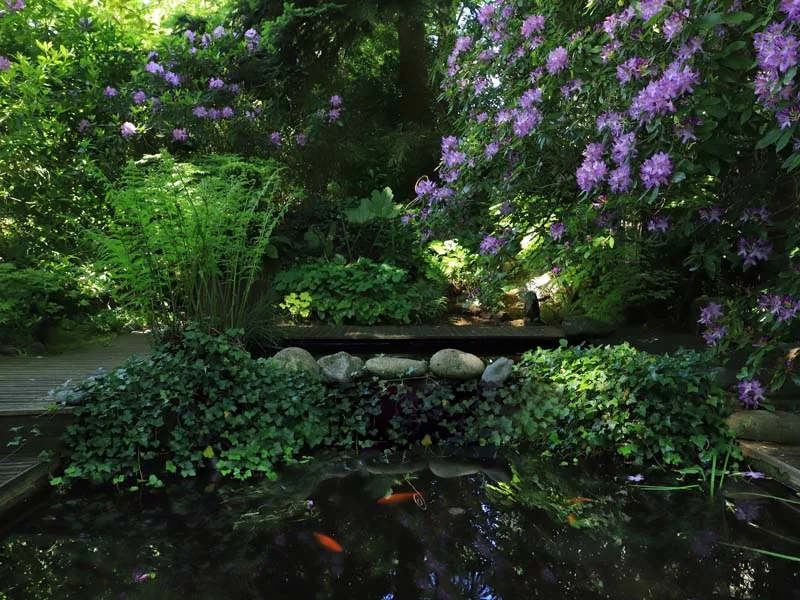 jardin retiré de Bagnoles-de-l’Orne
