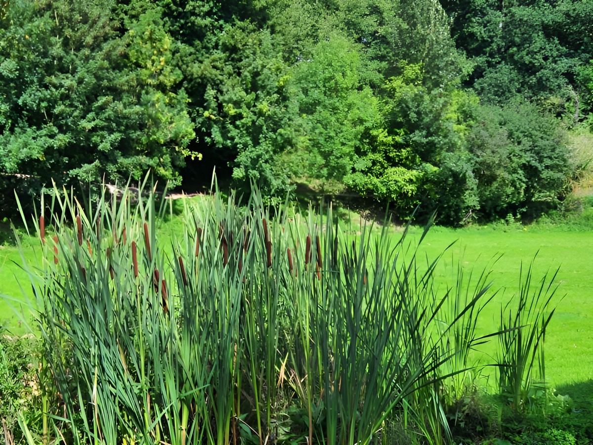 OTPVBois Villers-Bocage