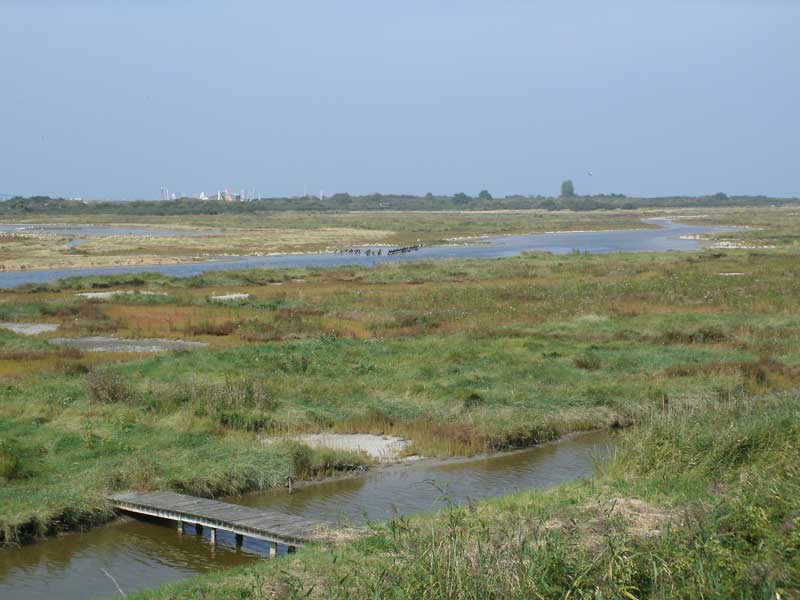 Calvados TourismeBaie Sallenelles Calvados