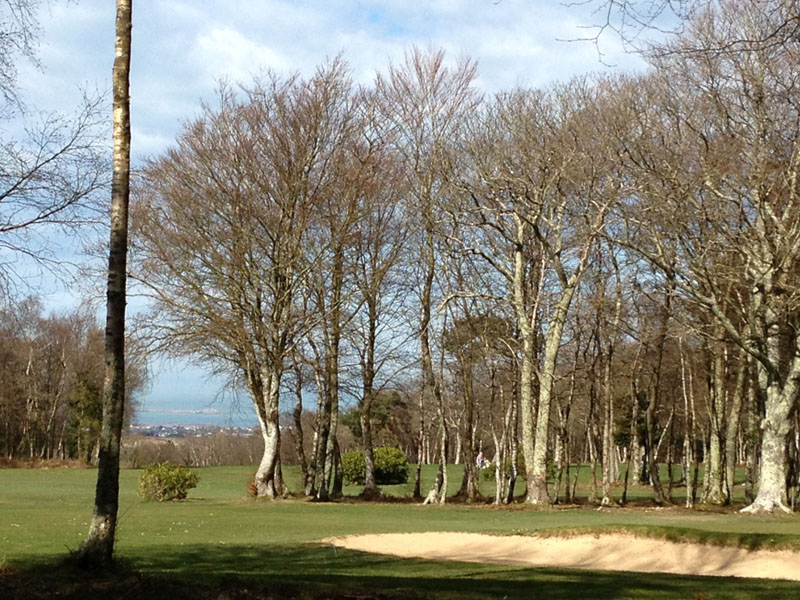 GOLF-CHERBOURGLa Glacerie_Golf de Cherbourg_4