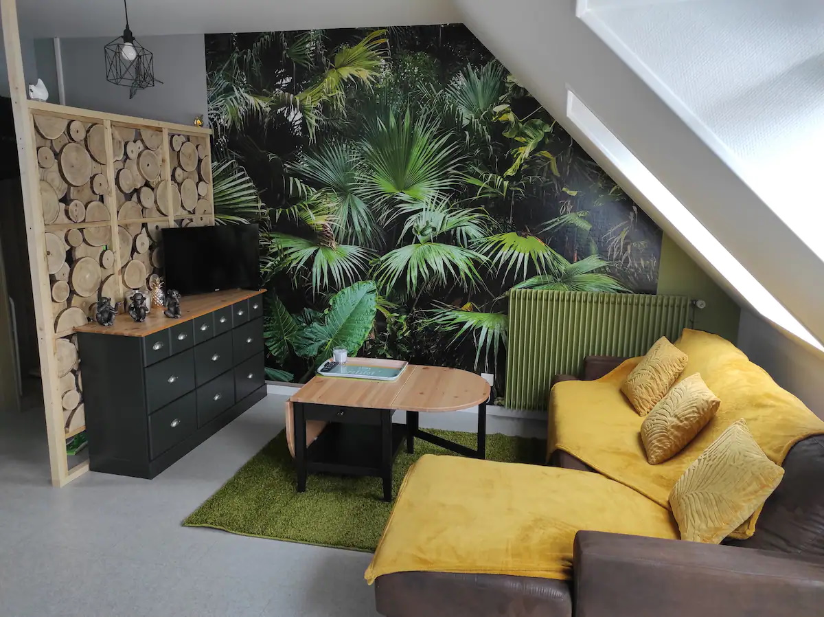 PROPRIETAIRELa-Haye-travers-appt-cosy (1)