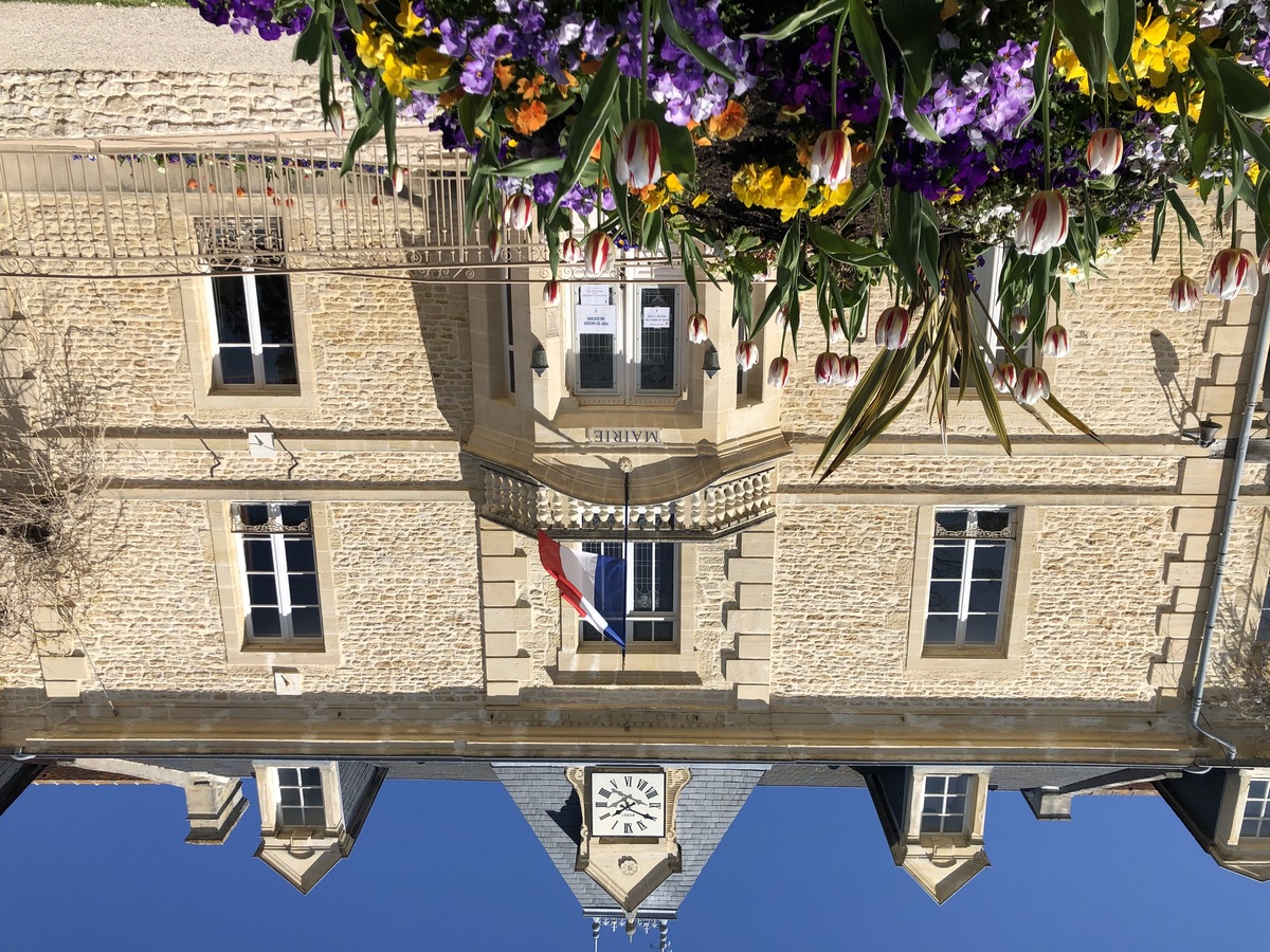 Mathilde LelandaisLA-MAIRIE-DE-LUC-SUR-MER-PARC-DE-LA-BALEINE-FLEURS-CREDIT-MATHILDE-LELANDAIS