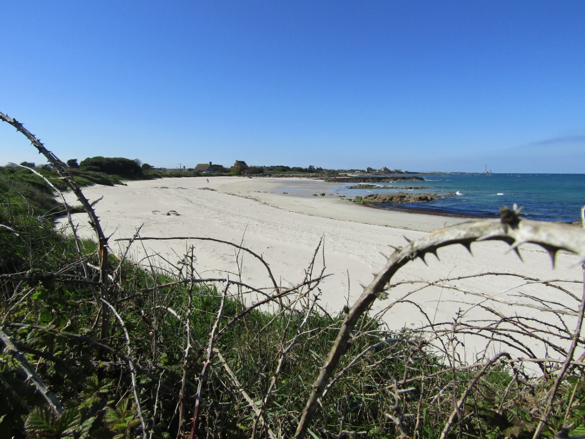 PROPRIETAIREmontfarville-plage-de-la-mare-0