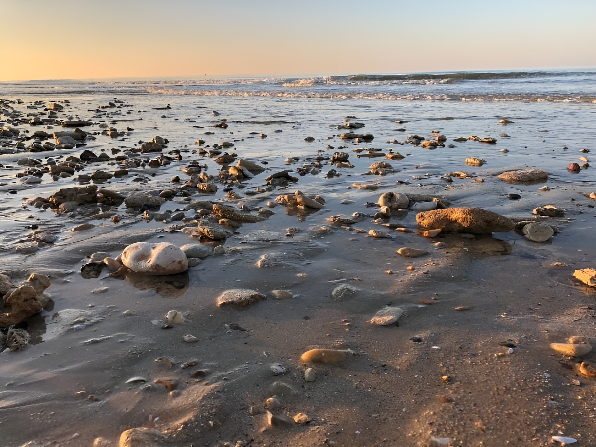 Mathilde LELANDAISLA-PLAGE-DE-BERNIERES-SUR-MER-FEVRIER-2019-CREDIT-MATHILDE-LELANDAIS--1-