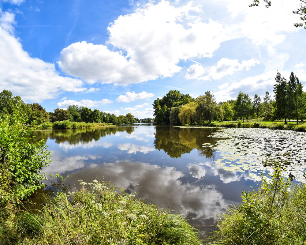 OITT Grand Daxlac-de-christus-saint-paul-lès-dax