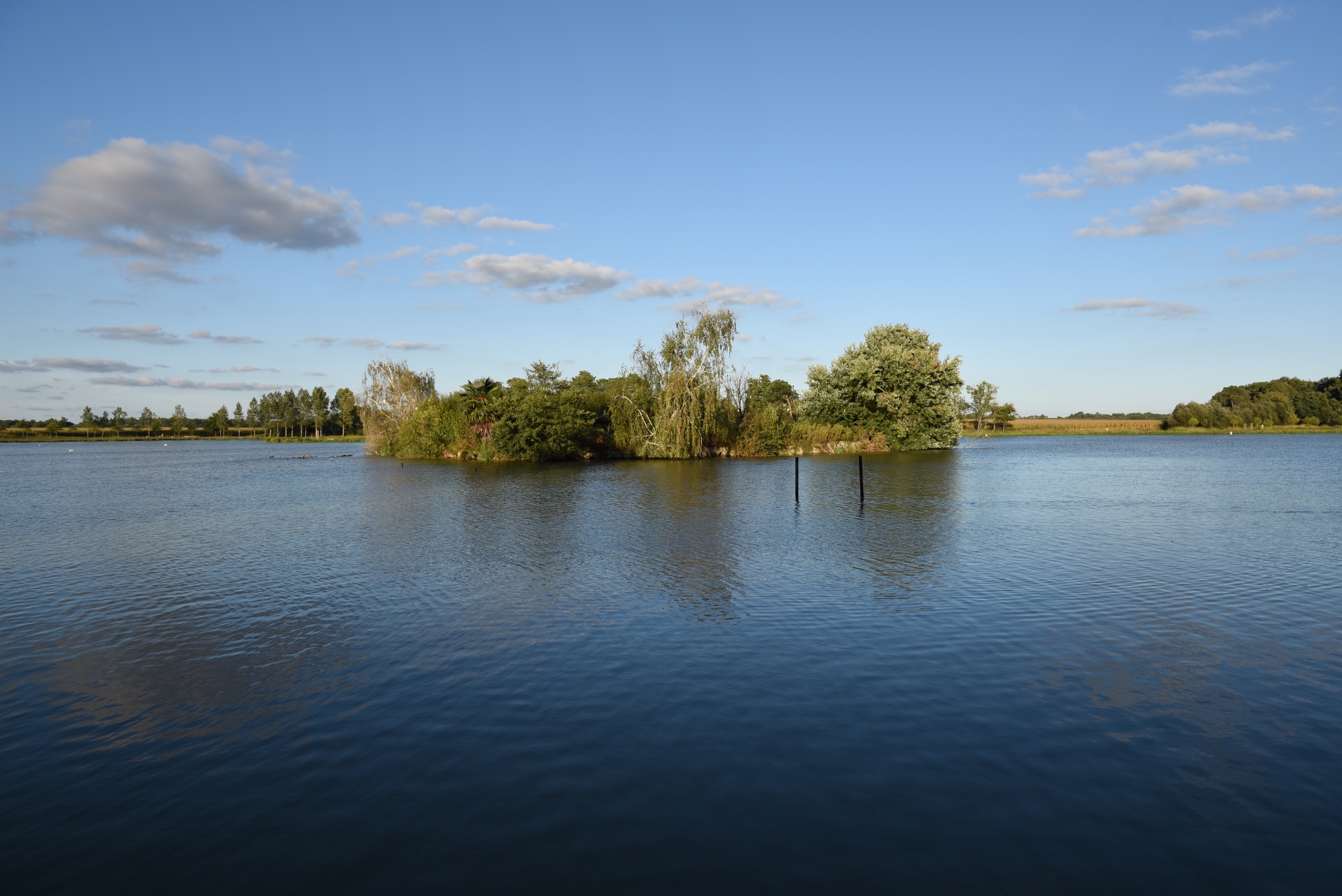 ACLLac de Tastoa-BK (7)