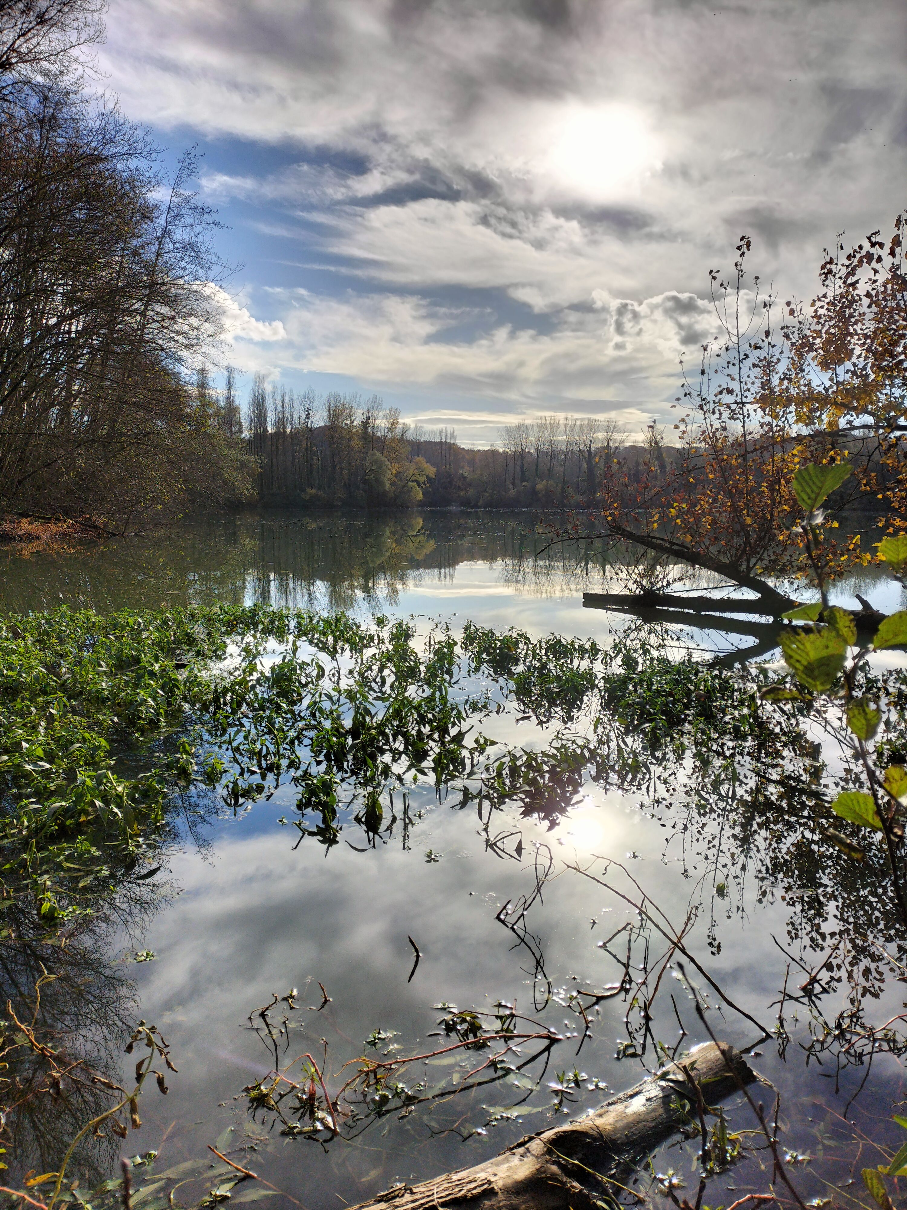 © La Vallée du KiwiLac Saint Cricq 3