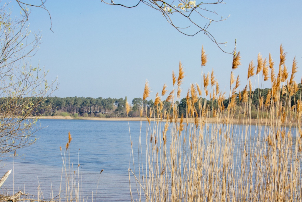 sanguinetlac-sanguinet-balade-54