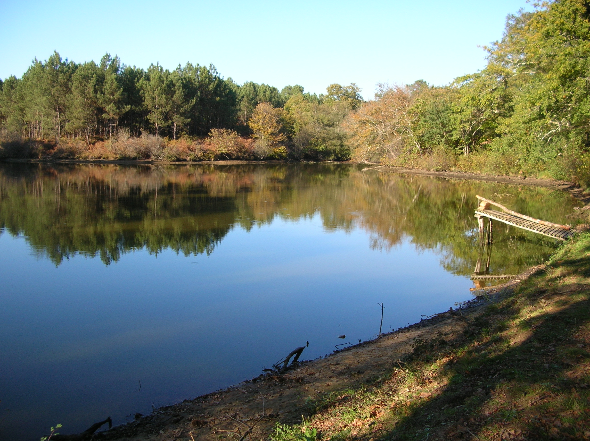 Photo OT Landes d'Armagnaclacquy - étang(1)
