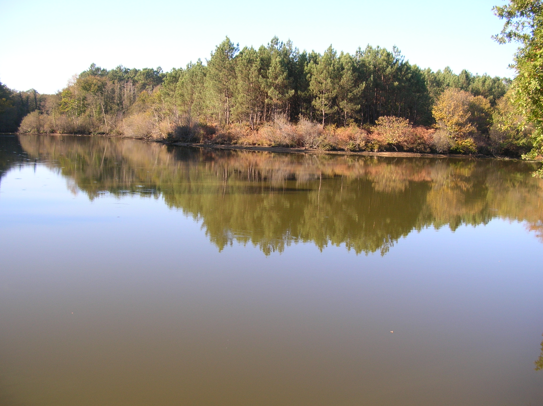 Photo OT Landes d'Armagnaclacquy - étang (2)