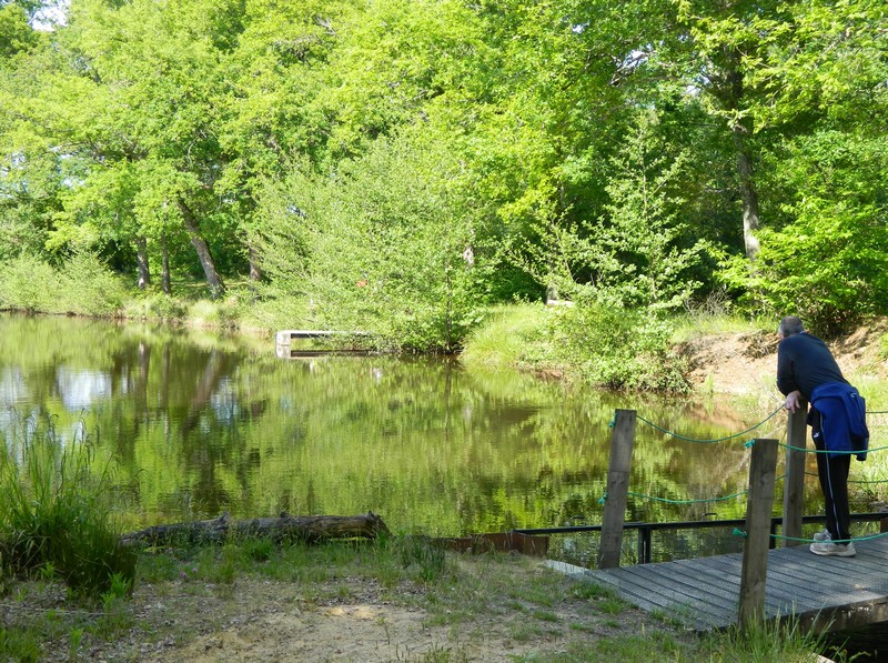 photo OT Landes d'Armagnaclacquy1