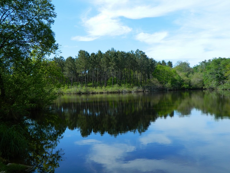 Photo OT Landes d'ArmagnacLacquy2