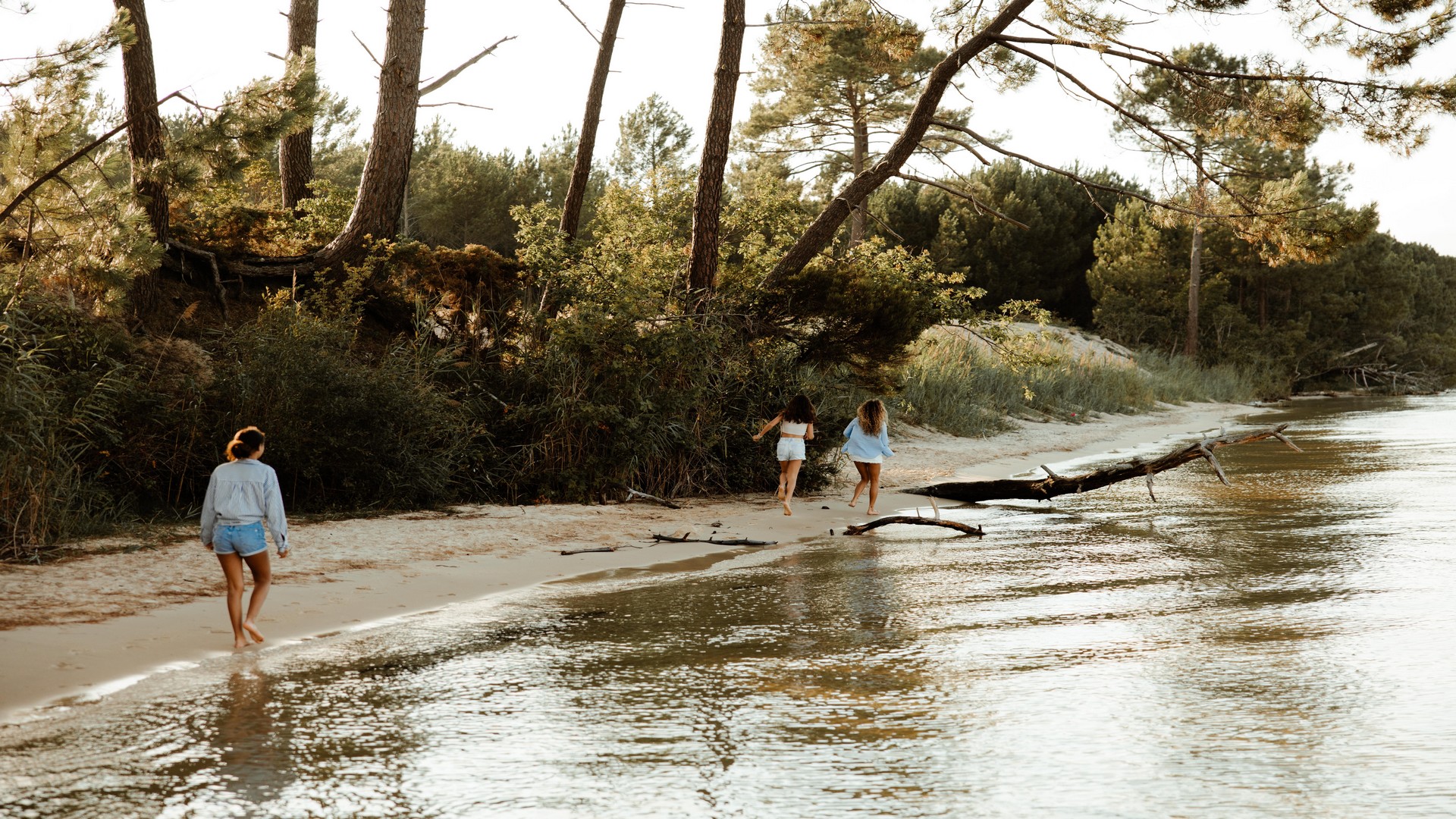 Landes et LacLandes et Lac bateau 5