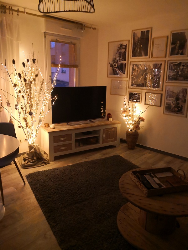 PROPRIETAIRELe Cocoon