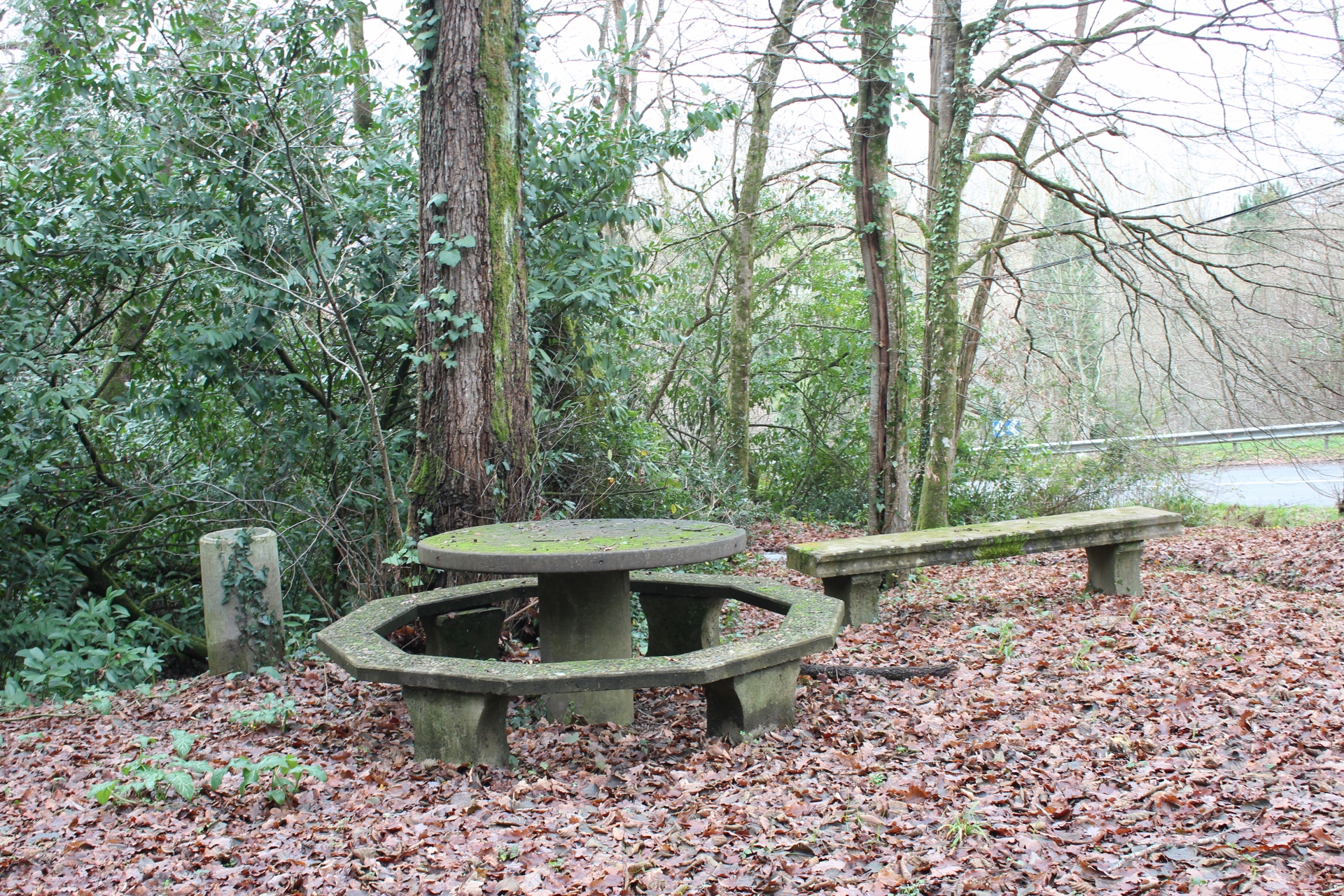 OT Sud Landes Arrigansle Lavoir (9)