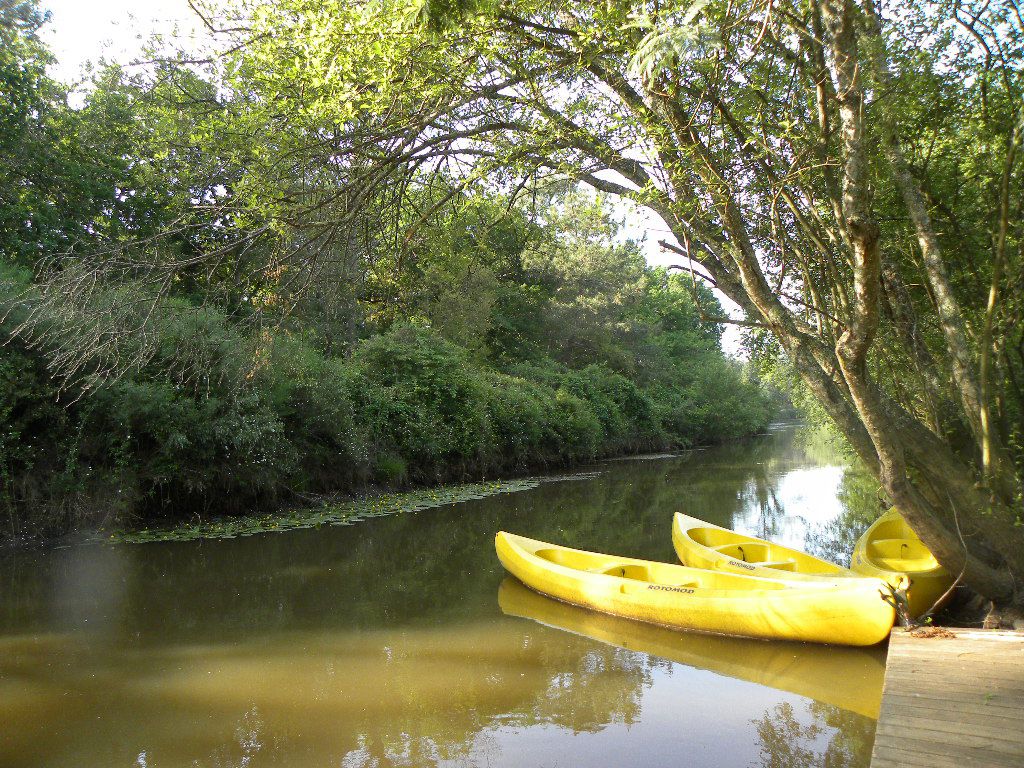 Camping les Pins Bleusle pins bleus marmotel_Canoë_03
