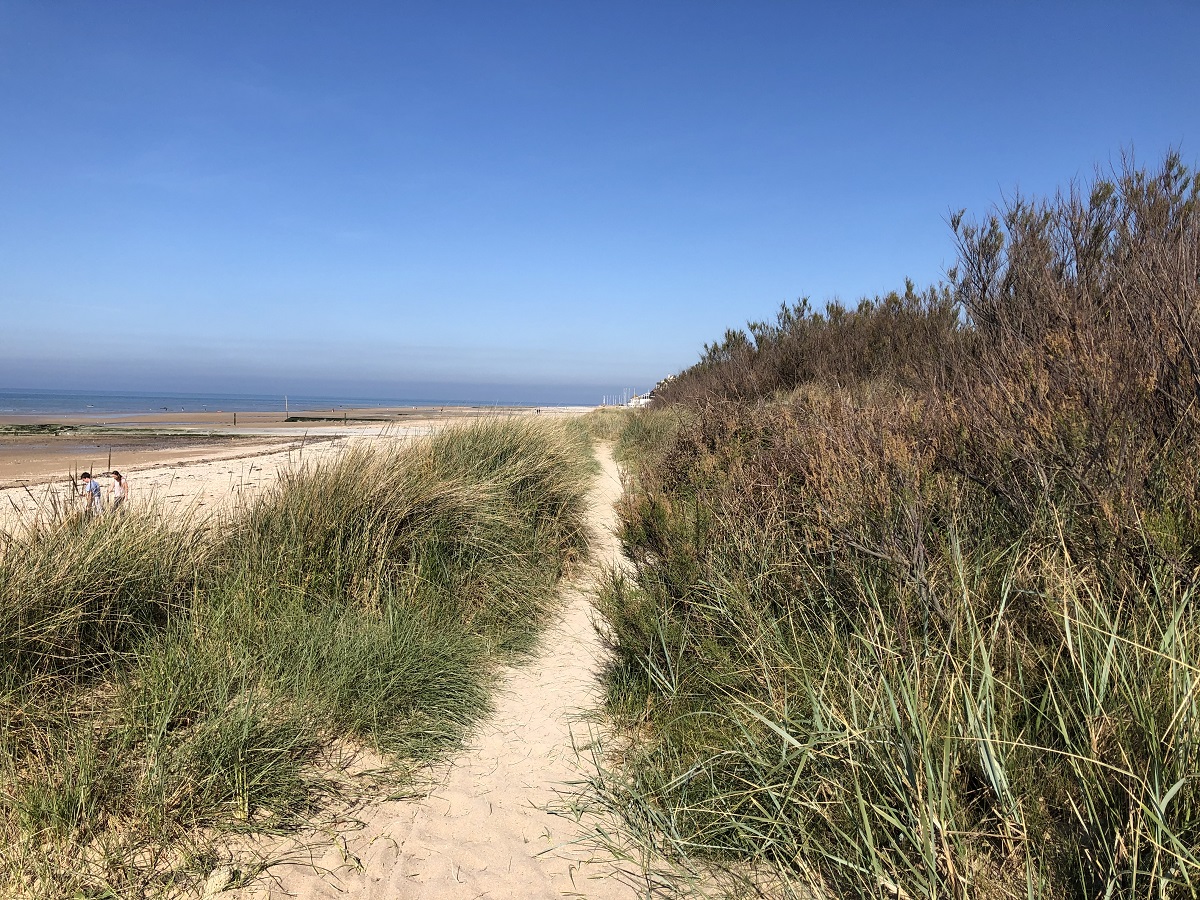 Mathilde LELANDAISLE-PLATON-COTE-PLAGE-CORDON-DUNAIRE-BERNIERES-SUR-MER-CREDIT-MATHILDE-LELANDAIS