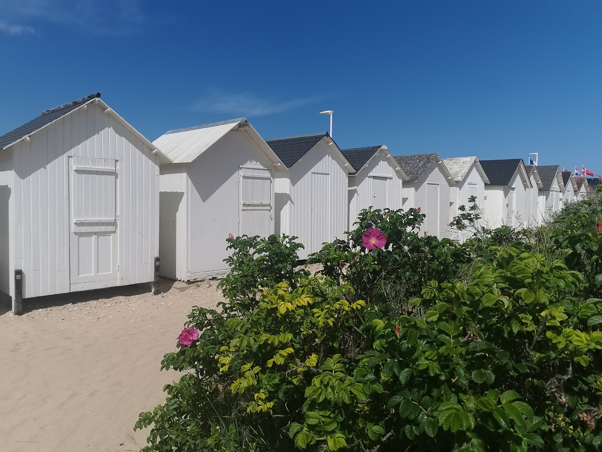 Nathalie PapouinLES-CABINES-DE-PLAGE-BLANCHES-DE-LA-COTE-DE-NACRE-BERNIERES-SUR-MER-CREDIT-NATHALIE-PAPOUIN