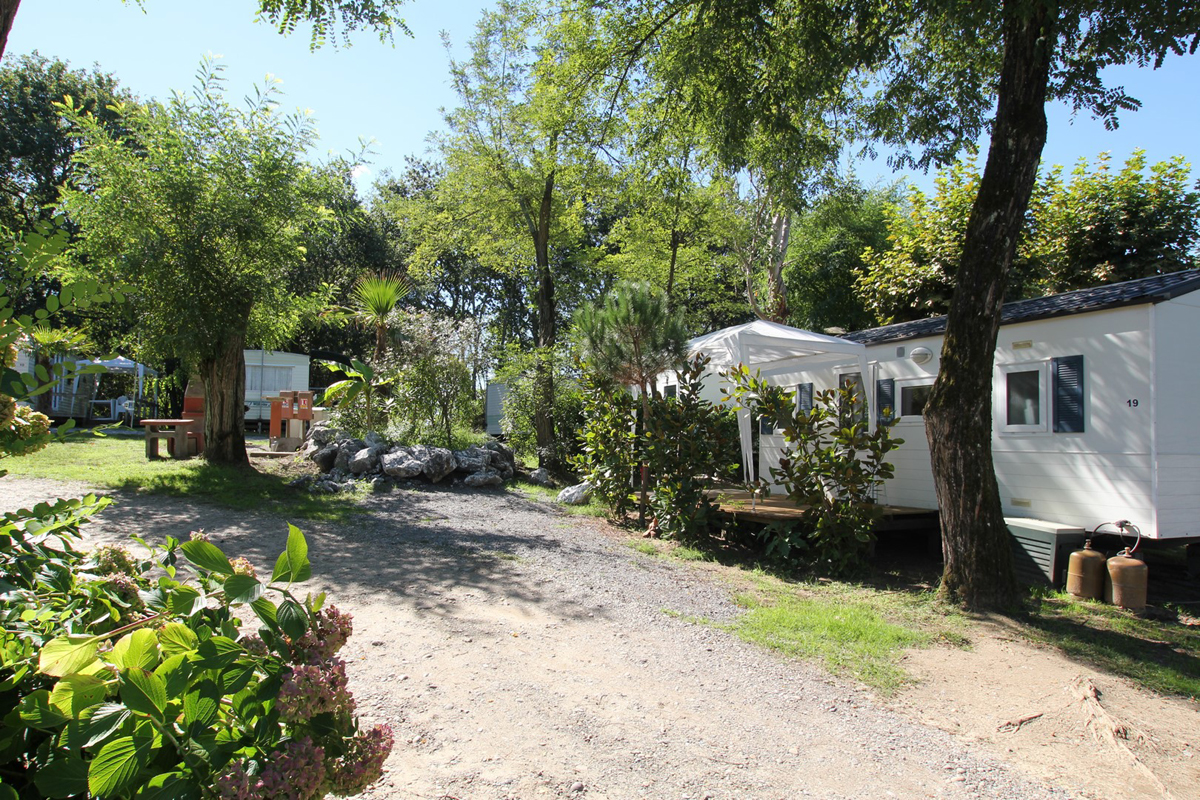 Les Platanesles platanes st geours