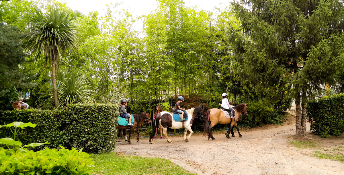 Les Platanesles platanes st geours4