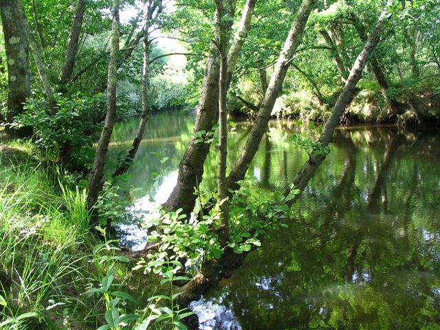 © OTSI Le TeichLes Rives de L'Eyre