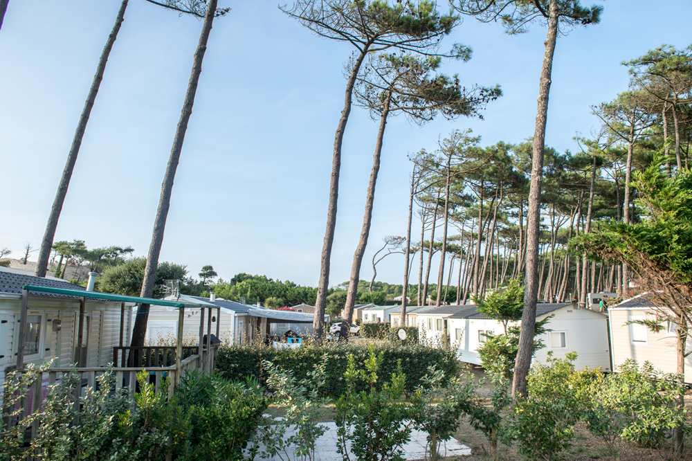 @Gilles PoeyLes-Sableres-Vieux-Boucau-Landes-Atlantique-Sud--11