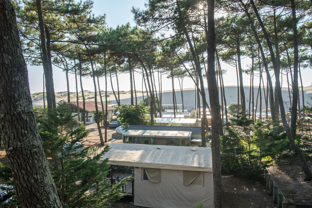@Gilles PoeyLes-Sableres-Vieux-Boucau-Landes-Atlantique-Sud-27