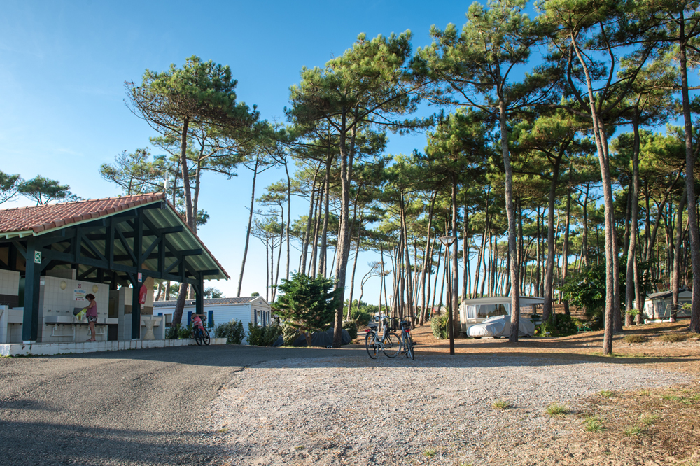 @Gilles PoeyLes-Sableres-Vieux-Boucau-Landes-Atlantique-Sud30