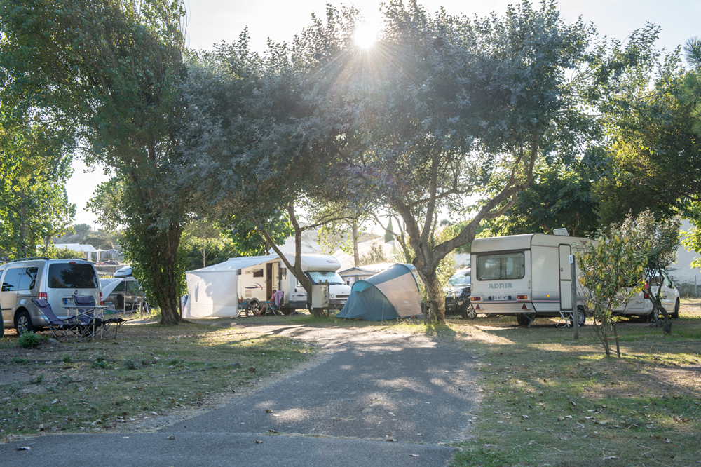 @Gilles PoeyLes-Sableres-Vieux-Boucau-Landes-Atlantique-Sud31