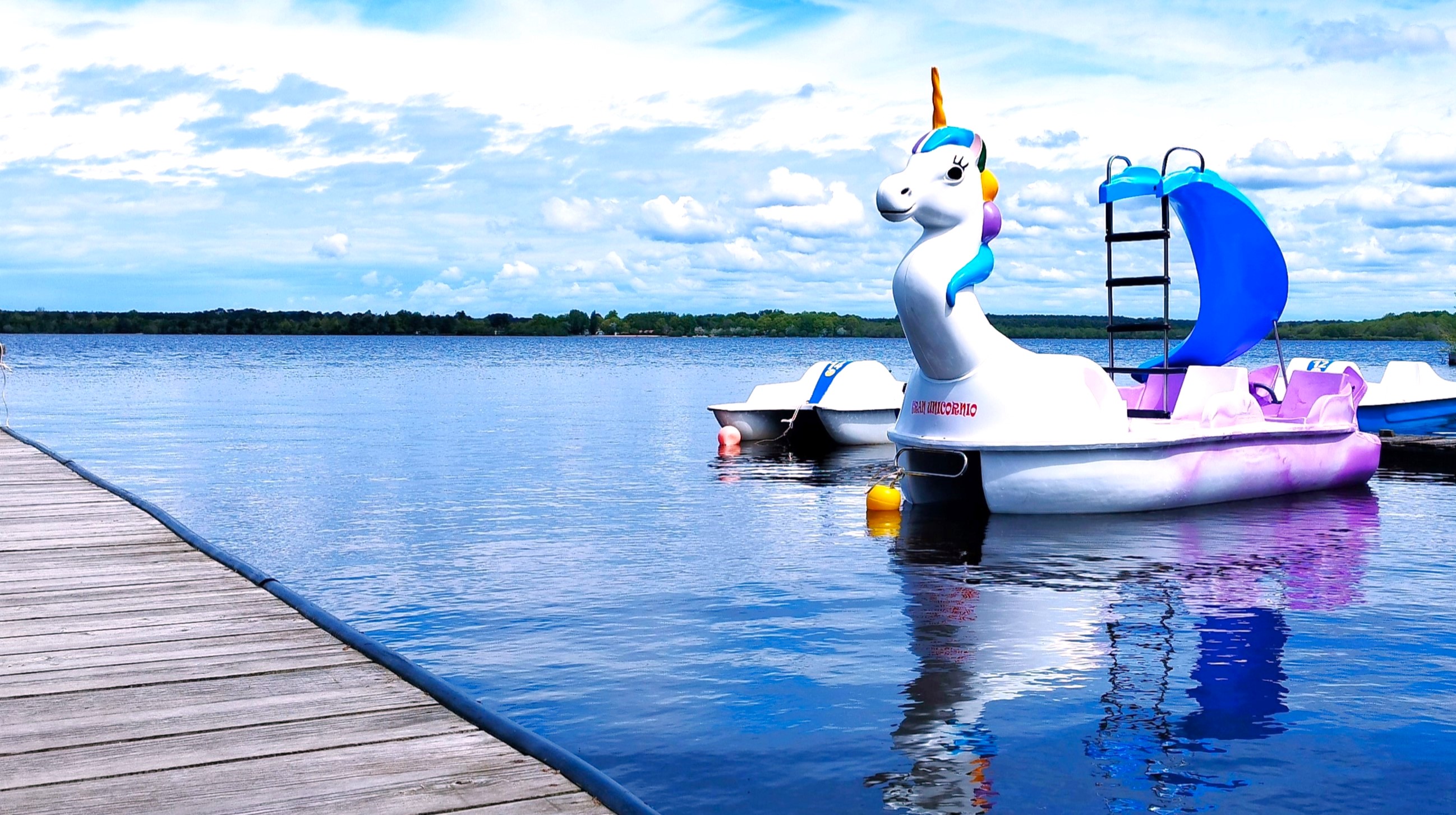 PedalounLICORNE CLNT HORIZONTAL