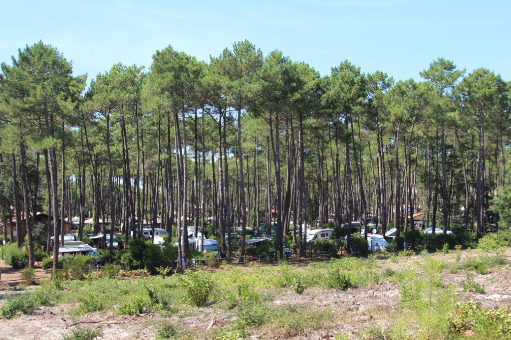 Camping du CAPLIT_AireCC_1