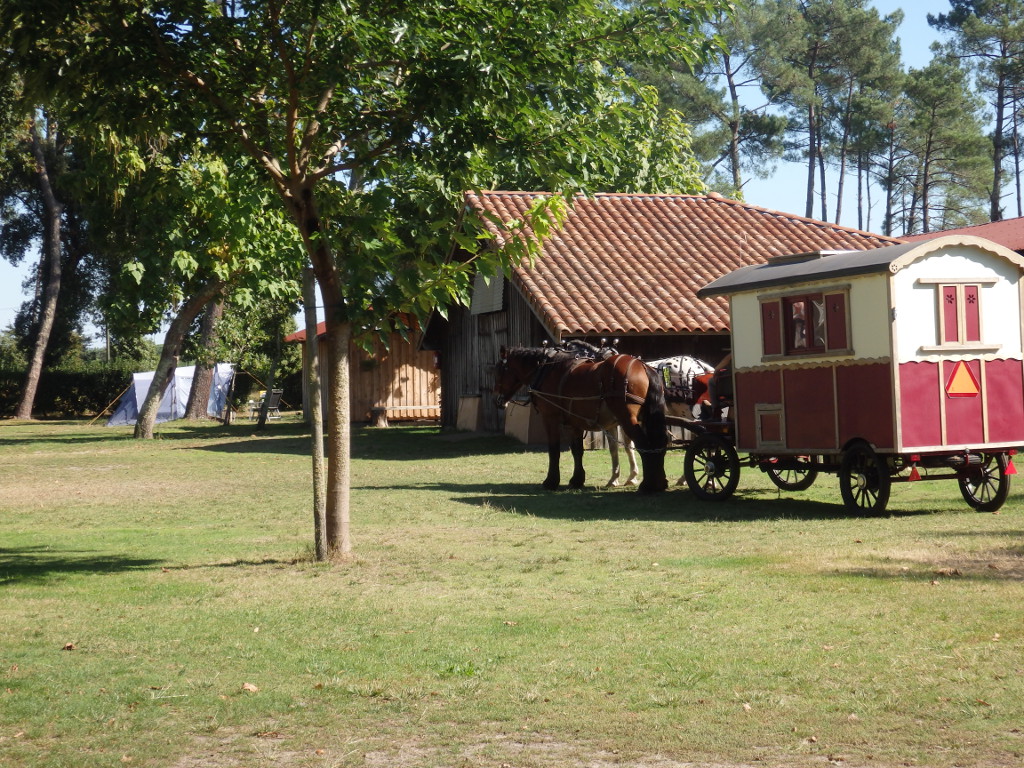 BarbasseLIT-camping-LassalleTS