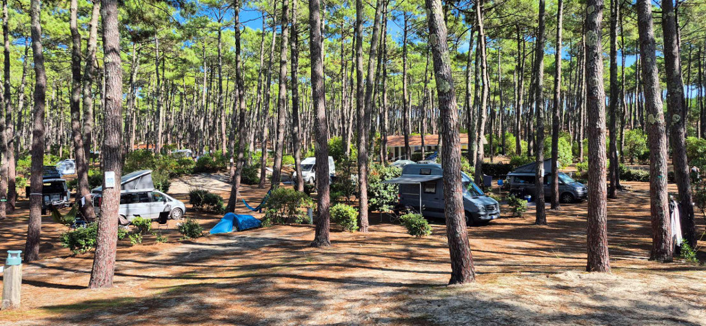 CampingCapLIT-CampingCap_1