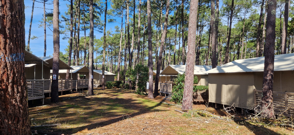 CampingCapLIT-CampingCap_Camping_zone_lodges_01