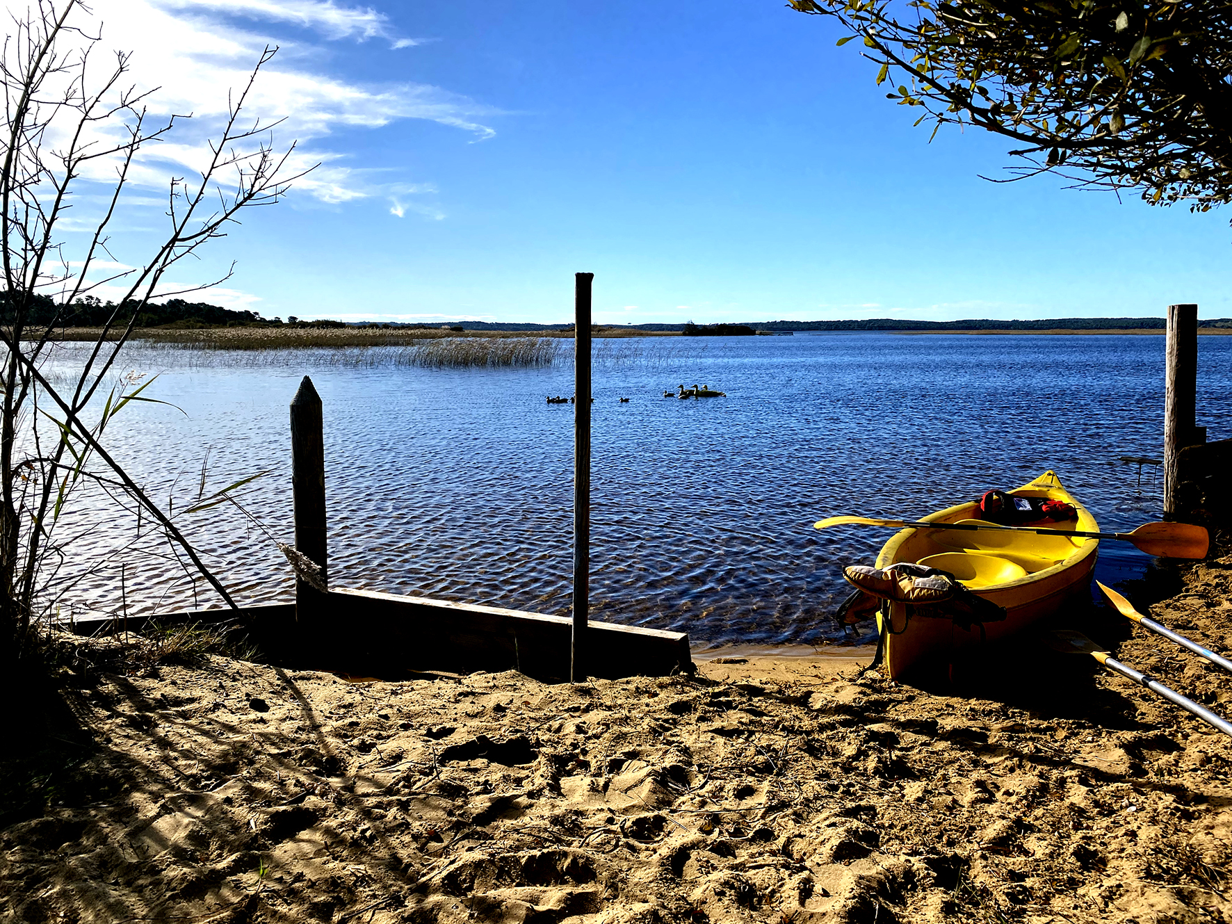 canoeyrelocation-canoe-biscarrosse