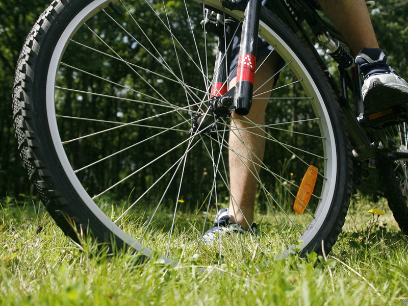 © lilufoto-Fotolia.comLocation de vélos