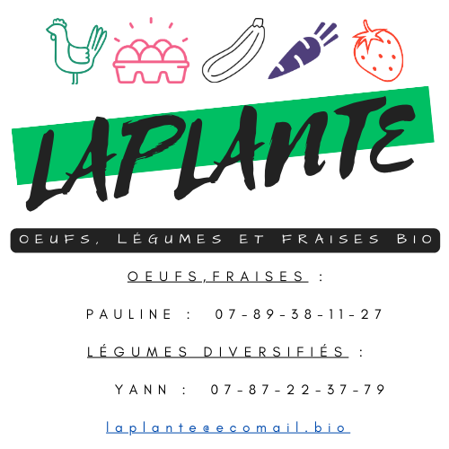 LA PLANTEPlante - 1