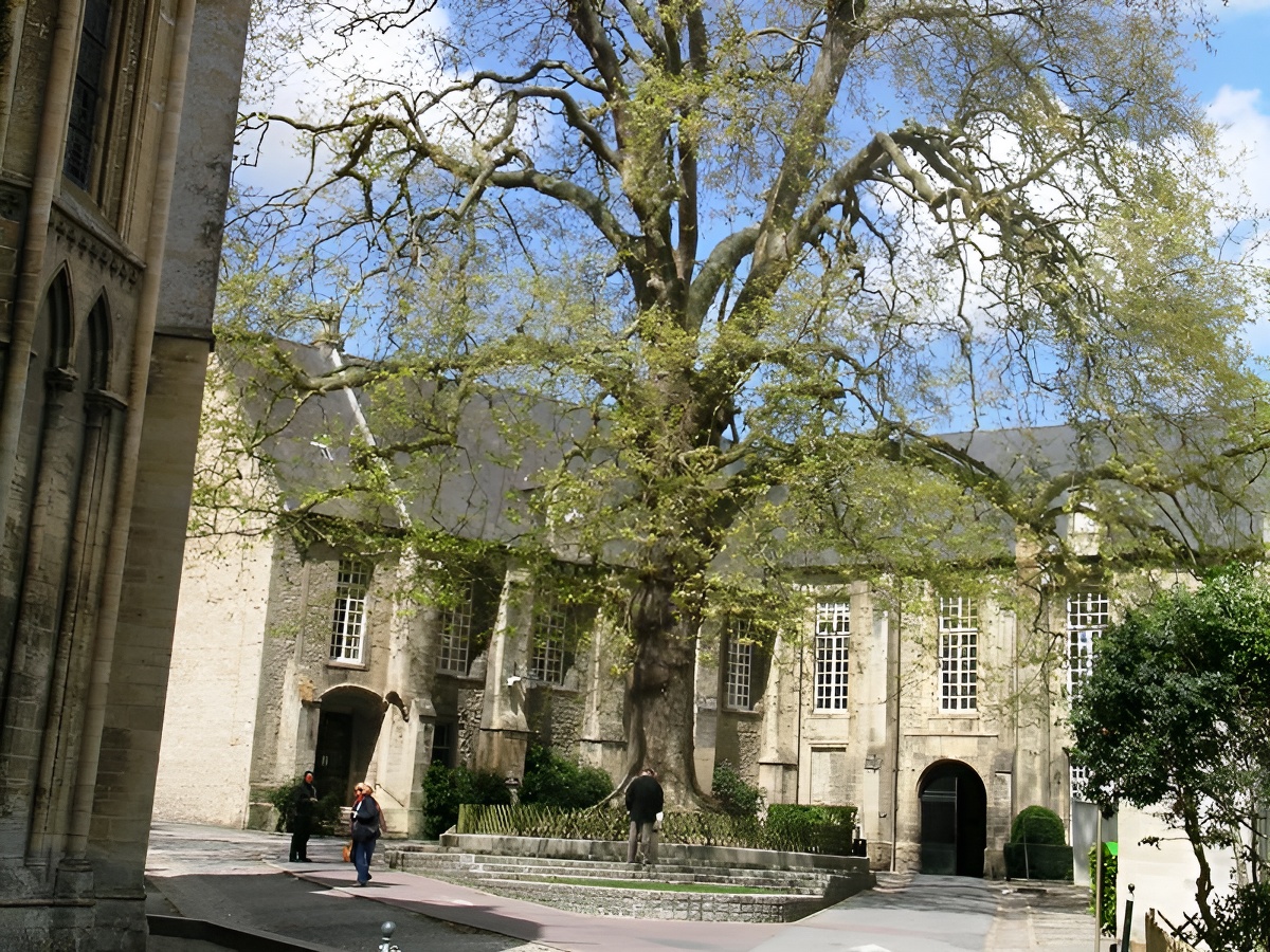 Bayeux MuseumMAHB, entrée - Bayeux