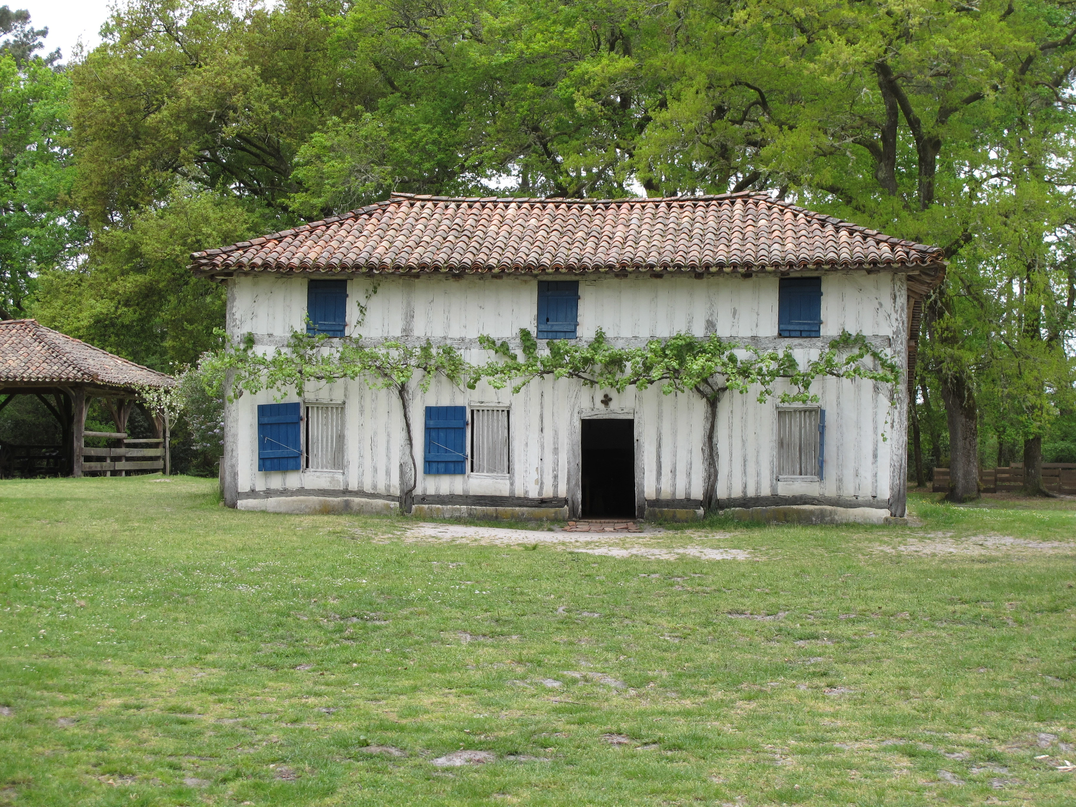 Maison du Métayer - Écomusée de Marquèze.jpg