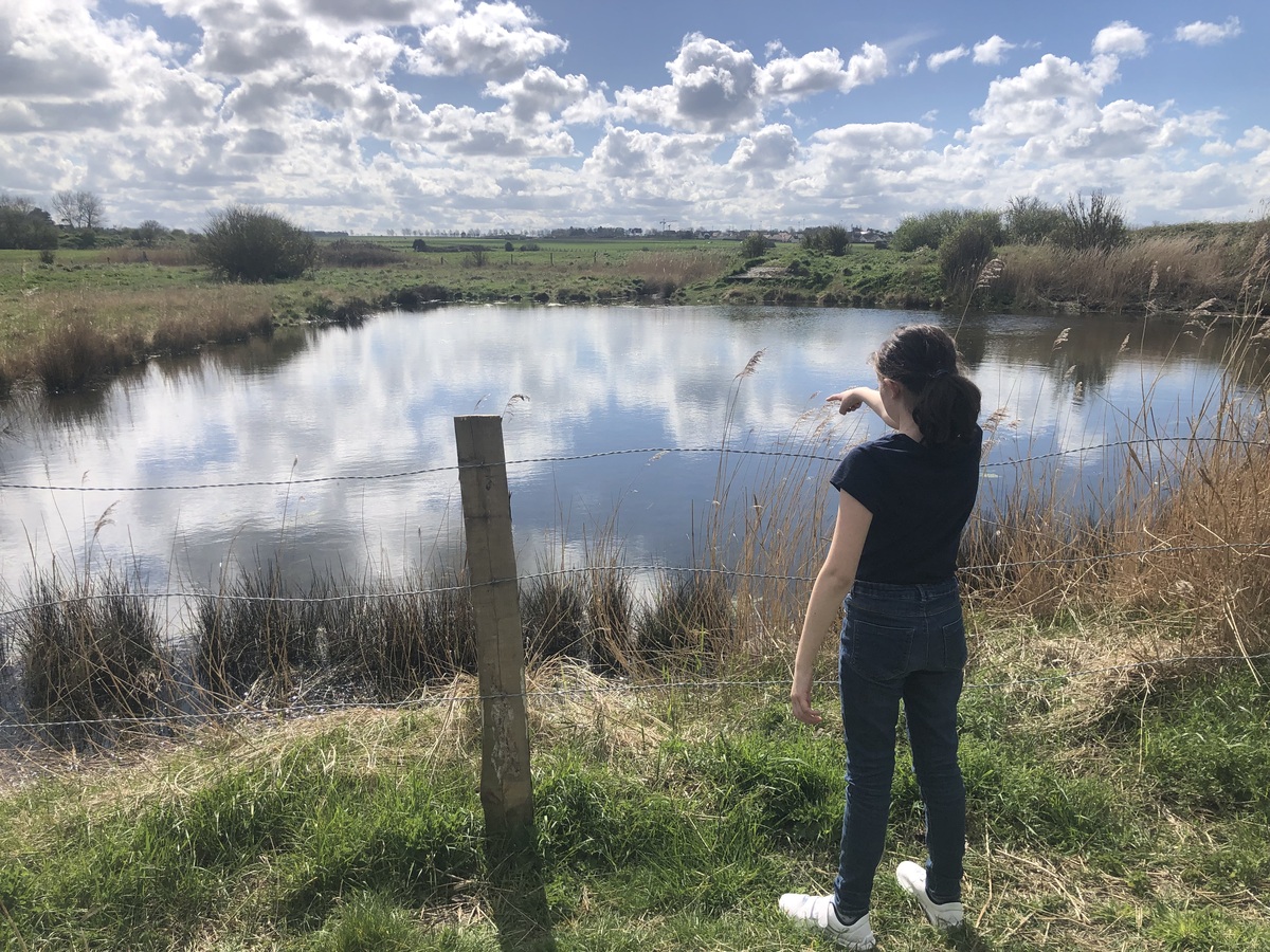 Mathilde Lelandaismarais-du-platon-bernieres-sur-mer-credit-mathilde-lelandais (1)(1)
