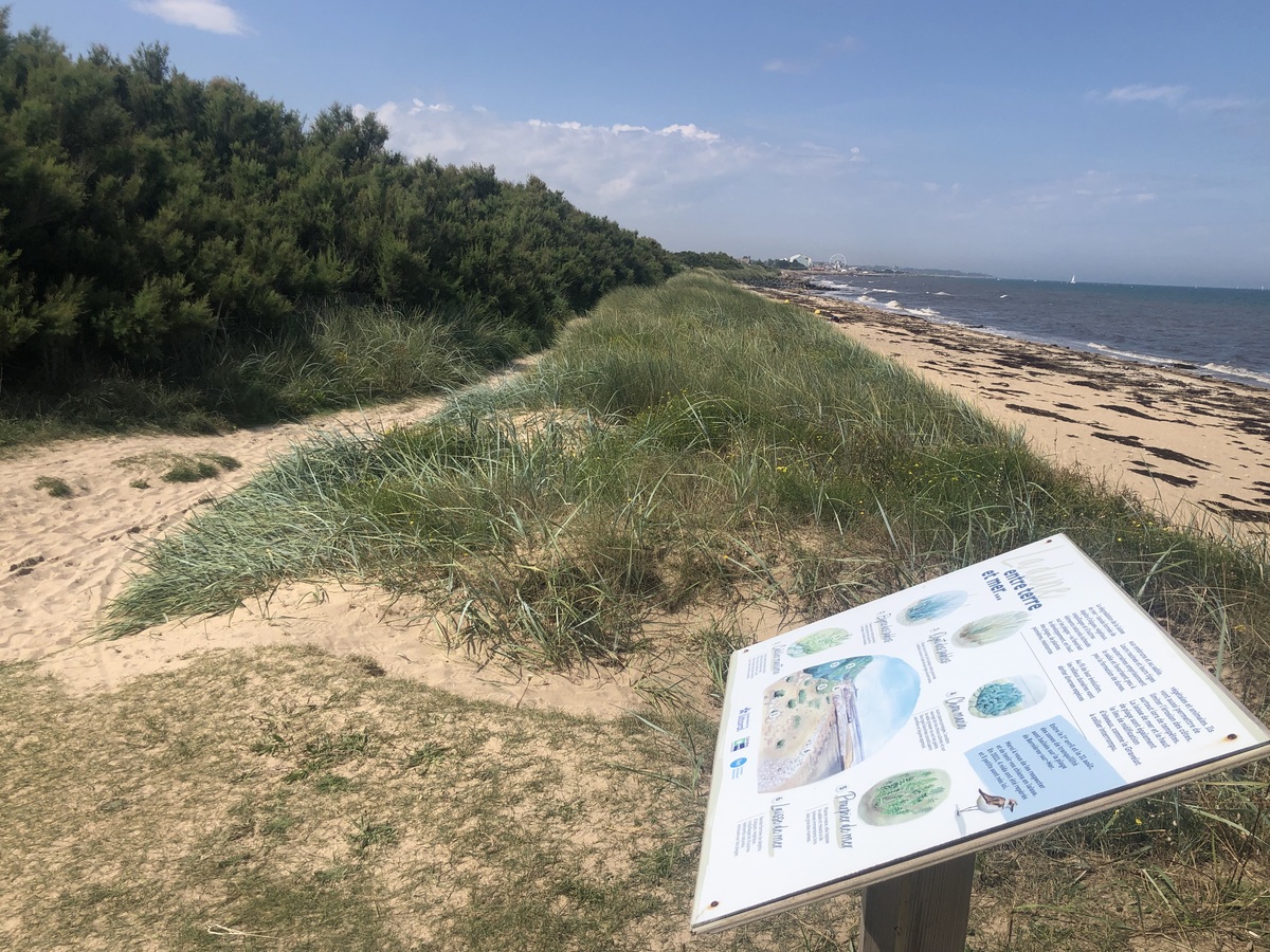 Mathilde Lelandaismarais-du-platon-bernieres-sur-mer-credit-mathilde-lelandais (3)