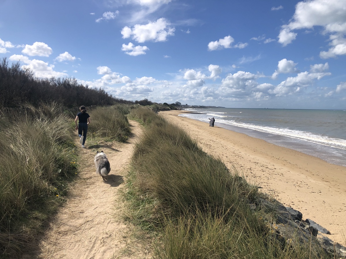 Mathilde Lelandaismarais-du-platon-bernieres-sur-mer-credit-mathilde-lelandais (6)(1)