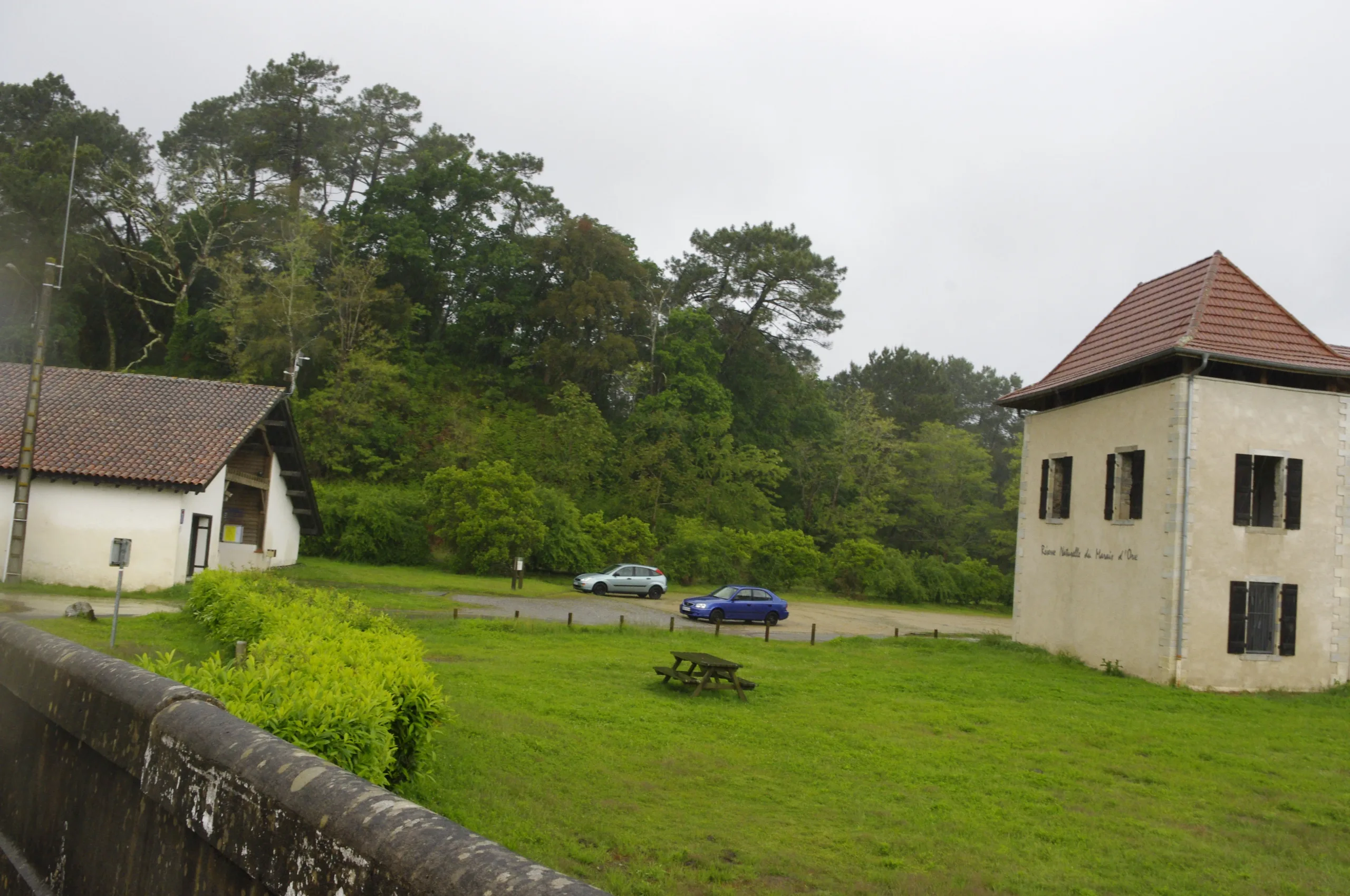 Marais-Orx 18.JPG