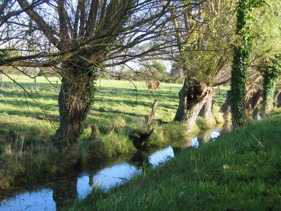Marais Vernier