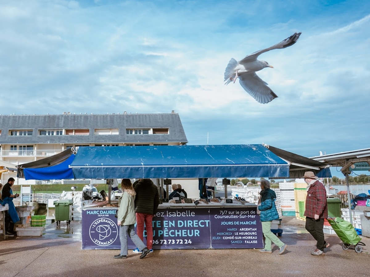 ibrahim-hendy-normandie-tourismemarche-aux-poissons-courseulles-credit-ibrahim-hendy-normandie-tourisme (1)