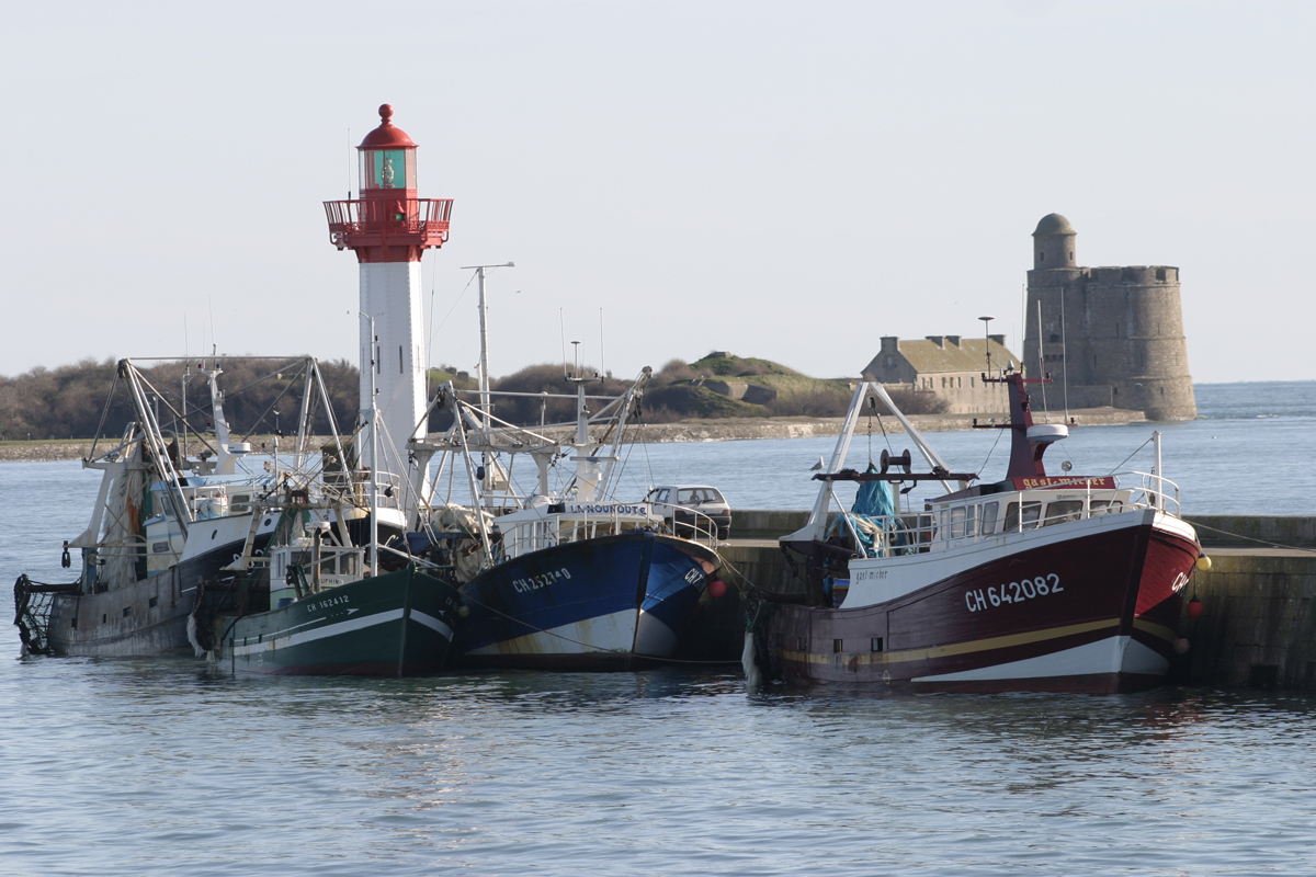 Propriétairemeuble-le-morne-saint-vaast-la-hougue-5