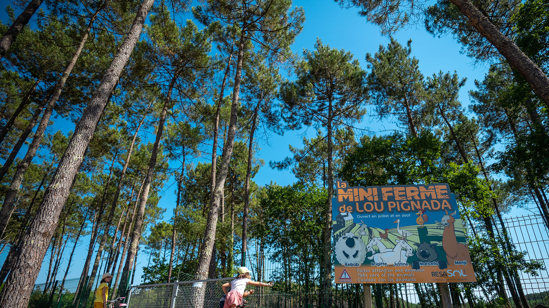 www.francoispotrel.commini-ferme (3)